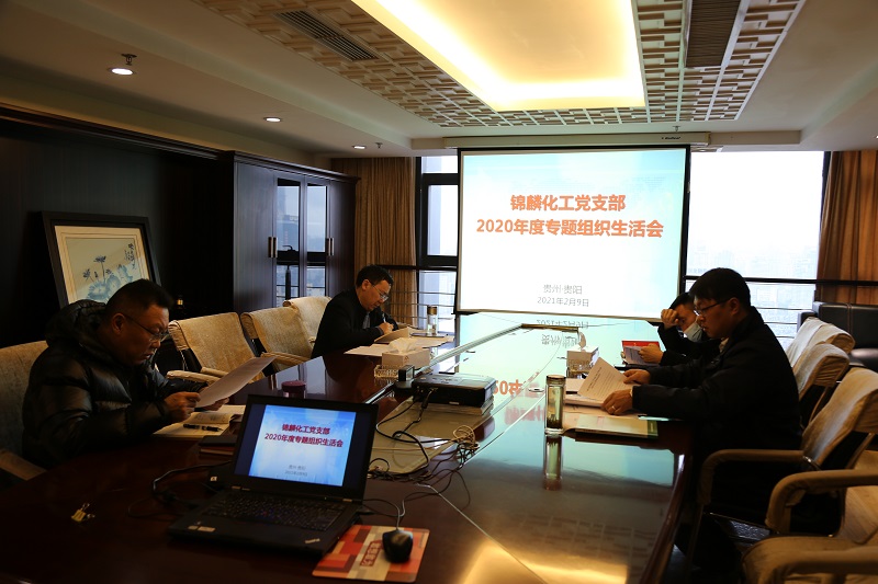 1612952196477423.jpg 錦麟化工黨支部組織生活會.JPG