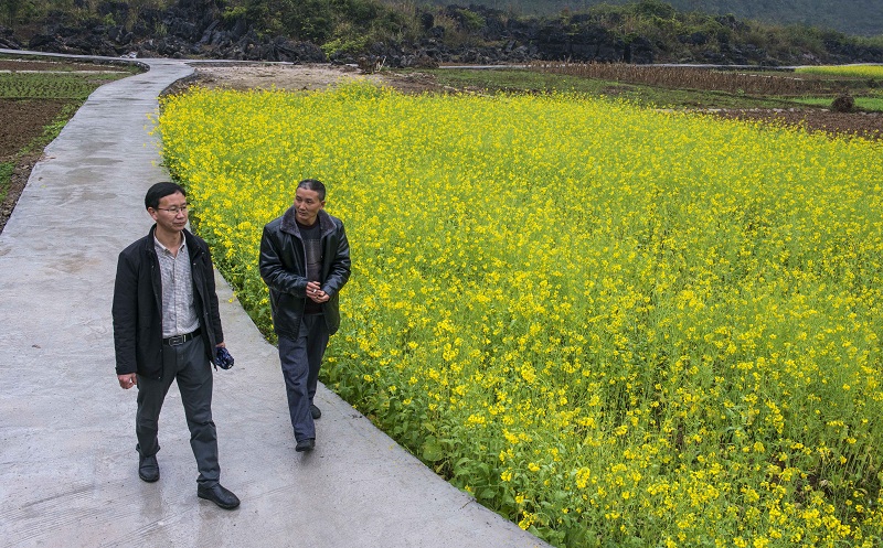 1613722896194576.jpg 1-2.jpg