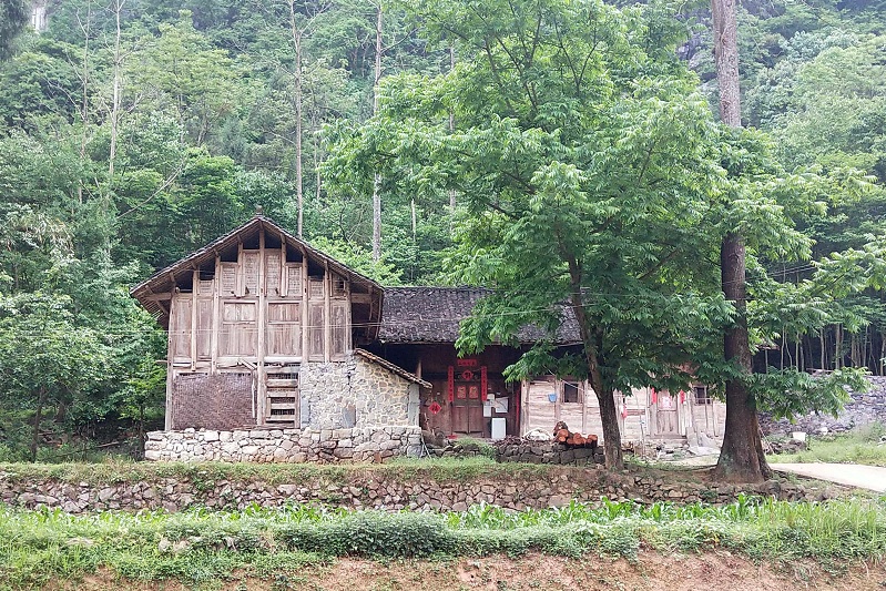 1613725145423559.jpg 13.jpg