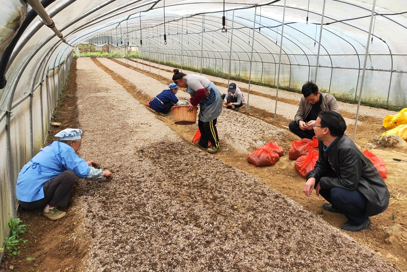 1613725421749213.jpg 15..jpg