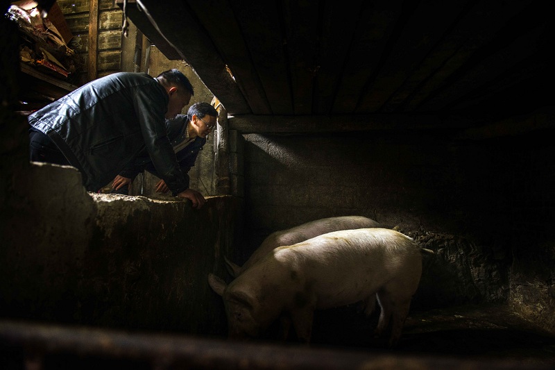 1613725437866698.jpg 1-4.jpg