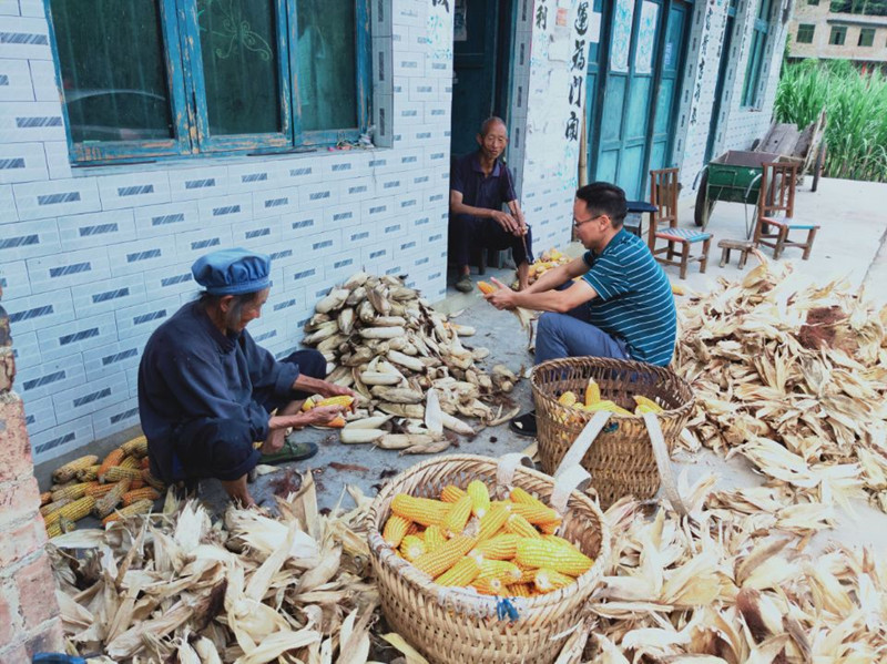 1619401190532886.jpg 3、為民服務(wù)宣政策_副本.jpg