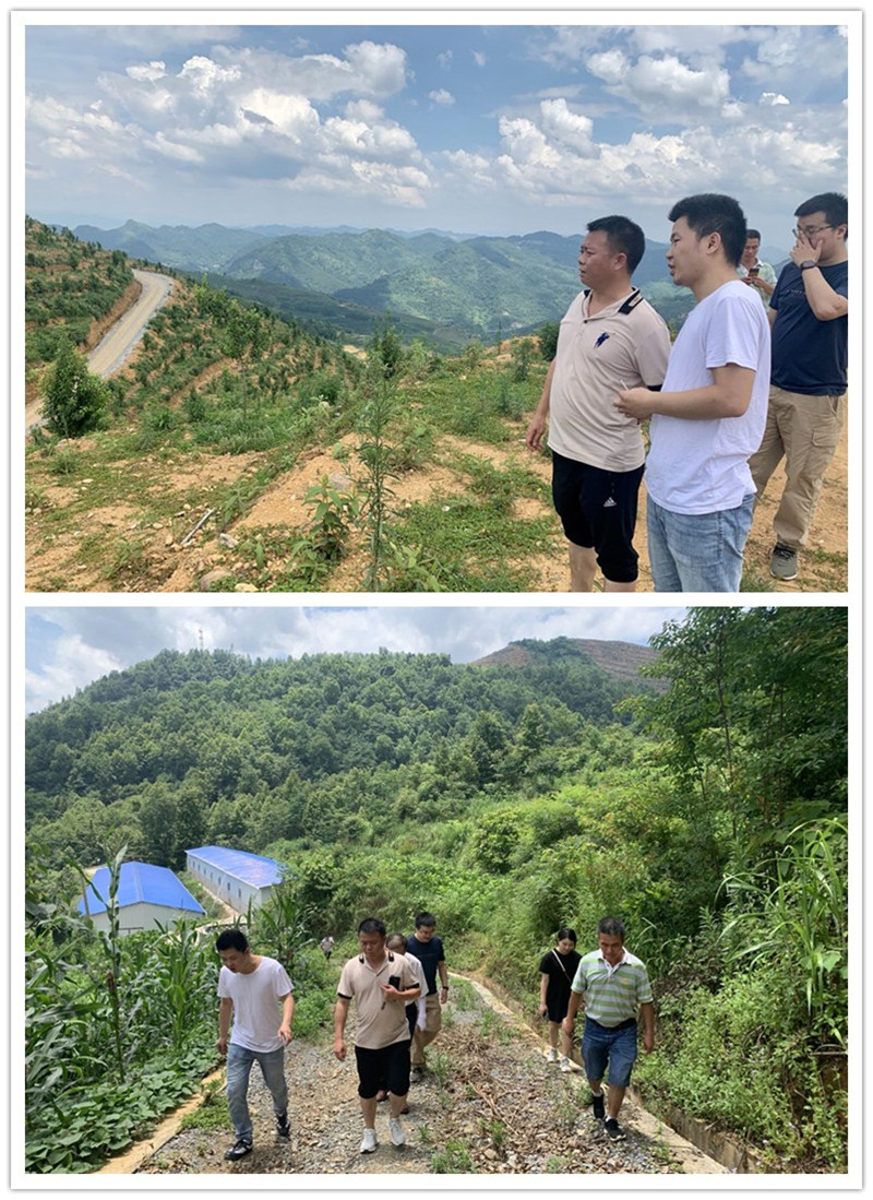 1624328263412719.jpg 2.jpg