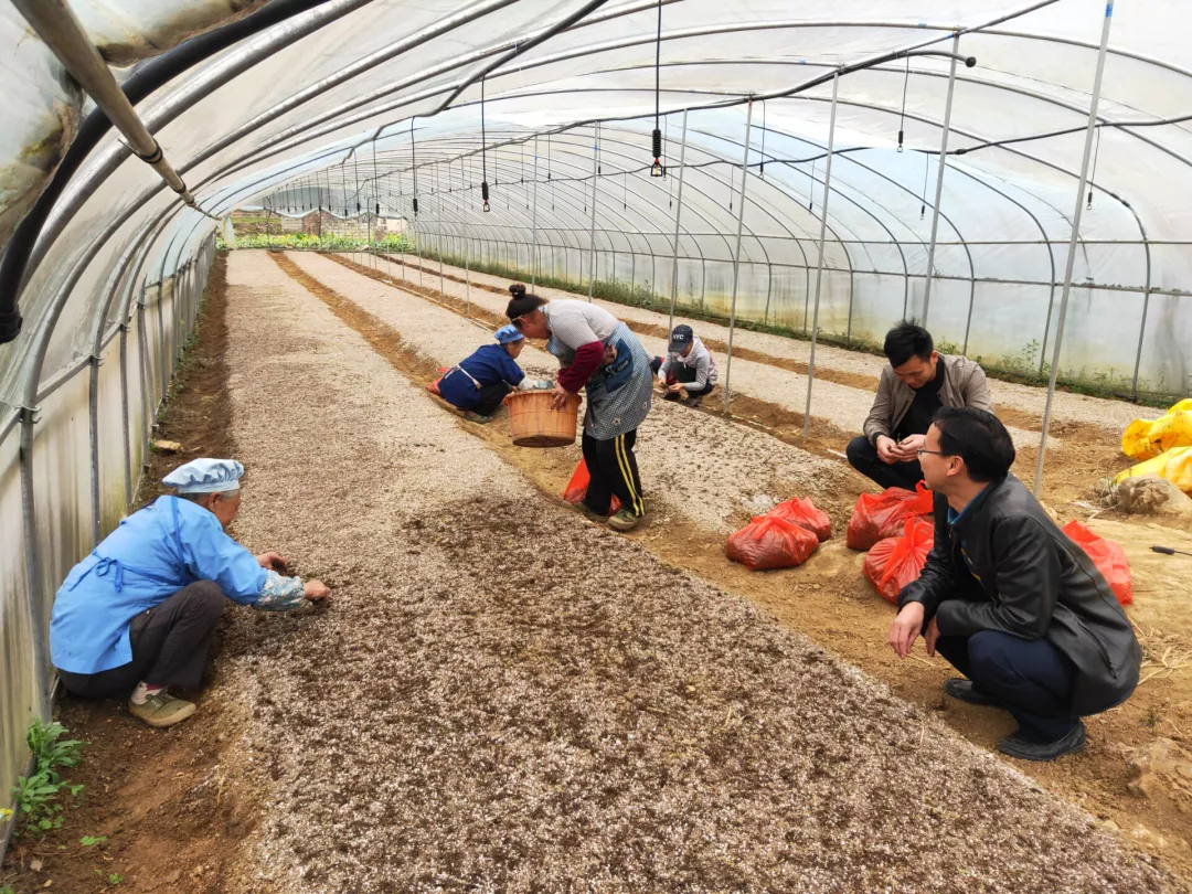 1631781532987530.png 微信圖片_20210916160736.png