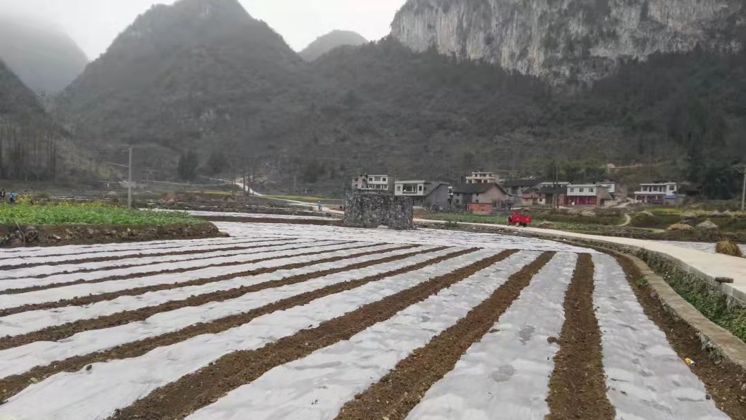 1631781665920012.jpg 微信圖片_20210916160749.jpg