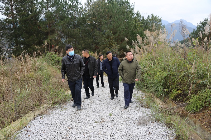 1637302994644172.jpg 333.jpg