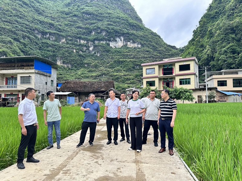 1688637937730194.jpg 3.jpg