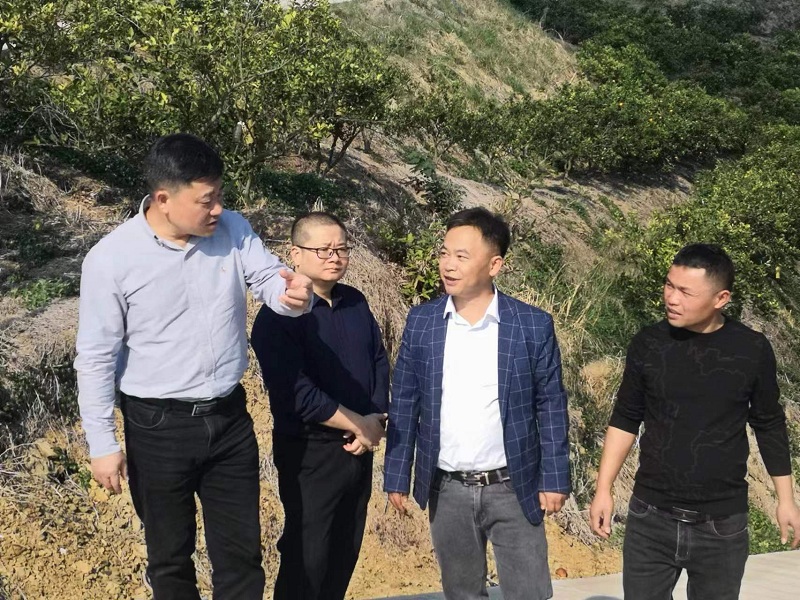 1700642774194195.jpg 3..jpg