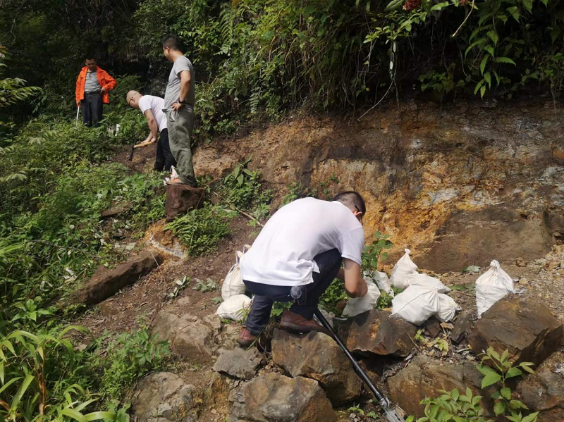 79-《旦坪取樣》 周穎.png