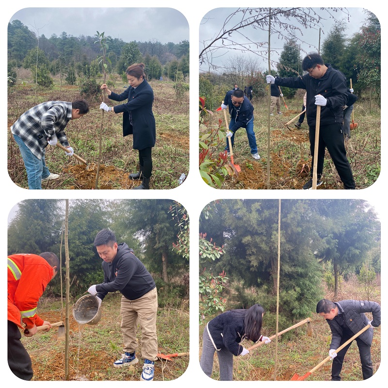 1710756122553599.jpg 植樹圖片.jpg