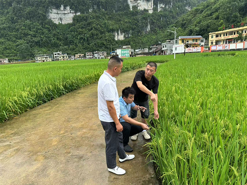 1722431850104141.png Screenshot-49cb0559-3102-4865-9810-db3e609d6d52.png