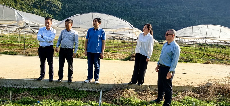 1730714193843436.jpg IMG_20241031_160125.jpg