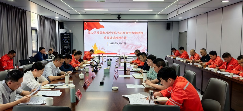 1745231260441353.jpg IMG_20250417_140852.jpg