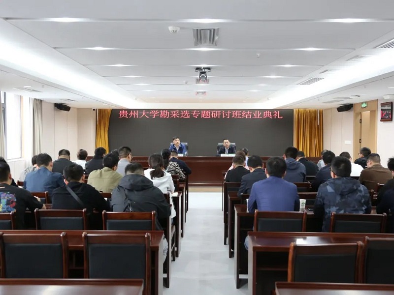 1745290906103568.jpg 640.jpg