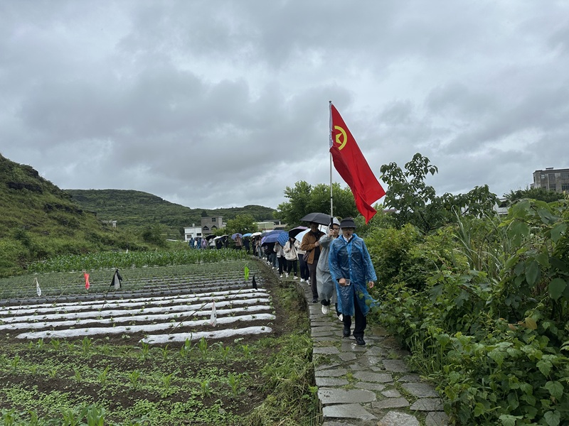 1748617413652124.jpg 改-微信圖片_20250529203913.jpg