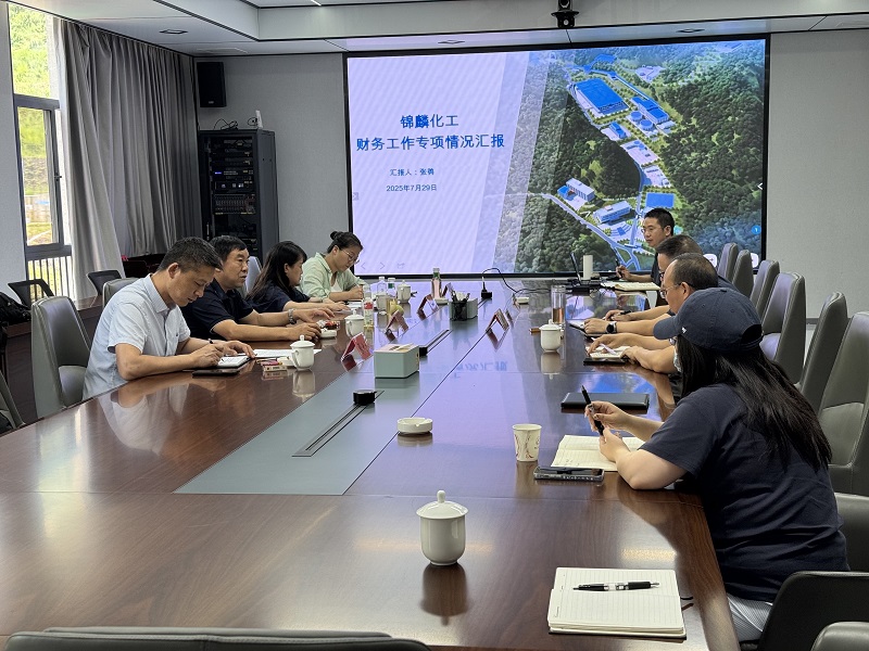 1754296021343124.jpeg 改-財務(wù)工作調(diào)研會議2.jpeg